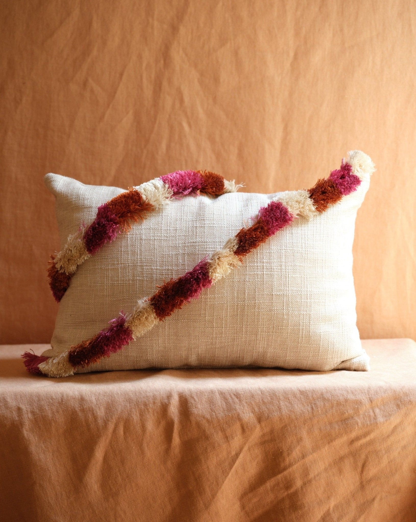 PILLOW WITH BRUSH FRINGE TRIM - House of Quintana